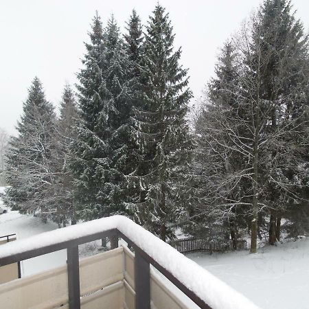 Ferienwohnung Mit Blick In Den Bayrischen Wald Oberhalb Von Sankt Engelmar Sankt Englmar Εξωτερικό φωτογραφία
