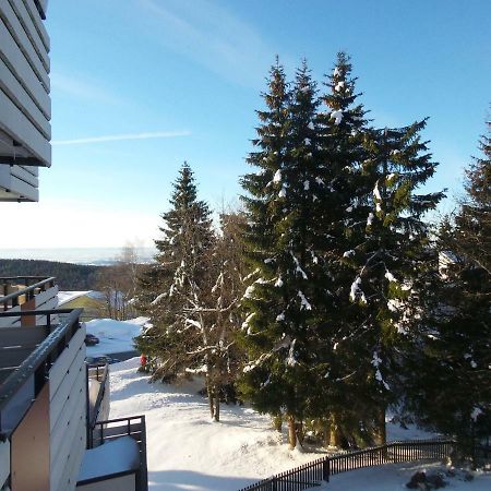 Ferienwohnung Mit Blick In Den Bayrischen Wald Oberhalb Von Sankt Engelmar Sankt Englmar Εξωτερικό φωτογραφία