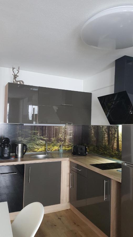 Ferienwohnung Mit Blick In Den Bayrischen Wald Oberhalb Von Sankt Engelmar Sankt Englmar Εξωτερικό φωτογραφία