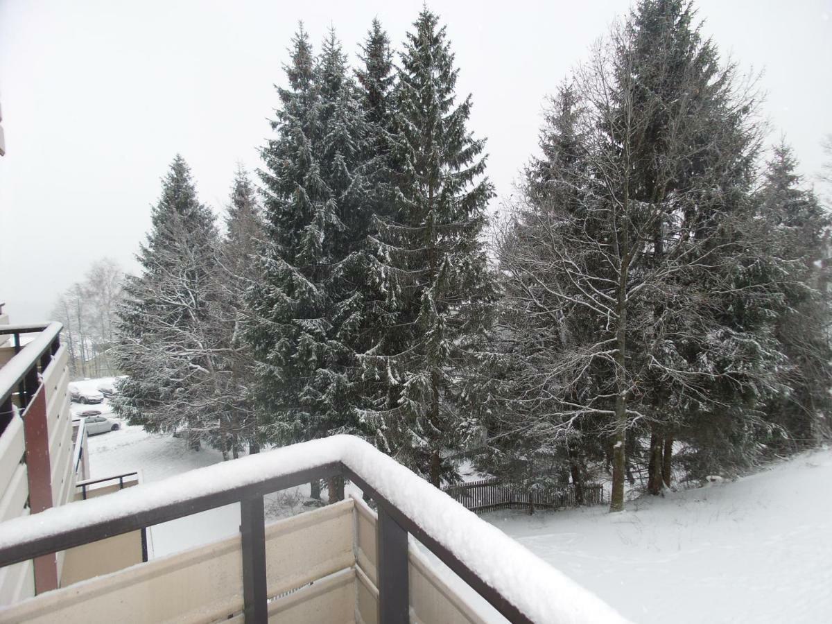 Ferienwohnung Mit Blick In Den Bayrischen Wald Oberhalb Von Sankt Engelmar Sankt Englmar Εξωτερικό φωτογραφία