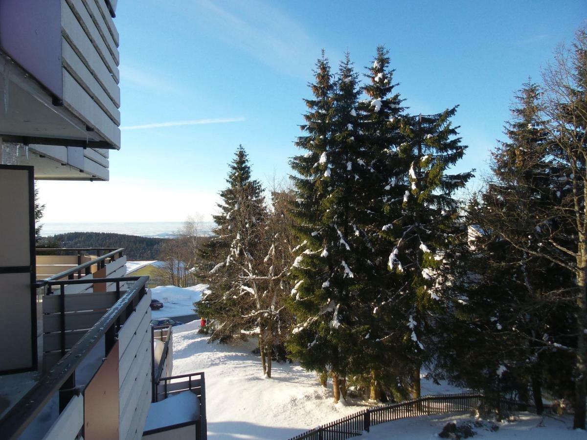 Ferienwohnung Mit Blick In Den Bayrischen Wald Oberhalb Von Sankt Engelmar Sankt Englmar Εξωτερικό φωτογραφία