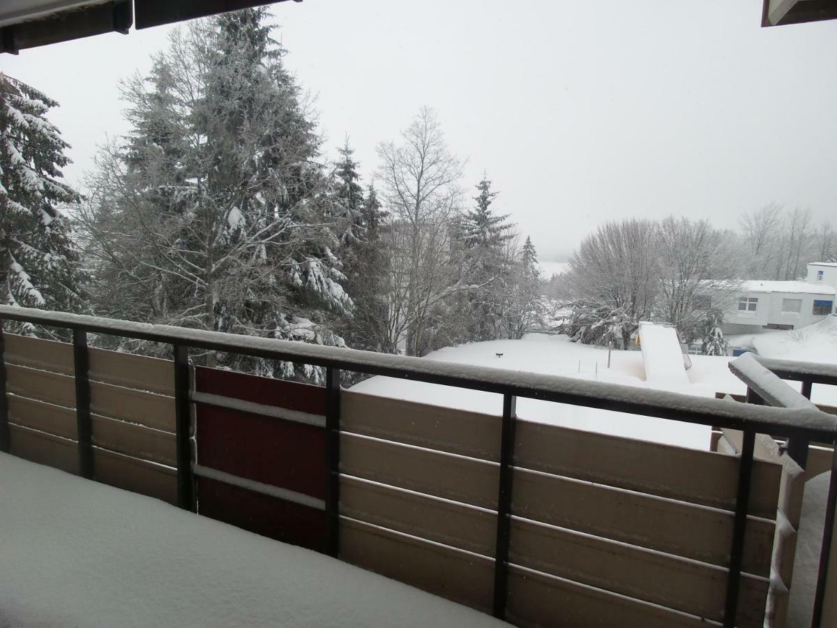 Ferienwohnung Mit Blick In Den Bayrischen Wald Oberhalb Von Sankt Engelmar Sankt Englmar Εξωτερικό φωτογραφία